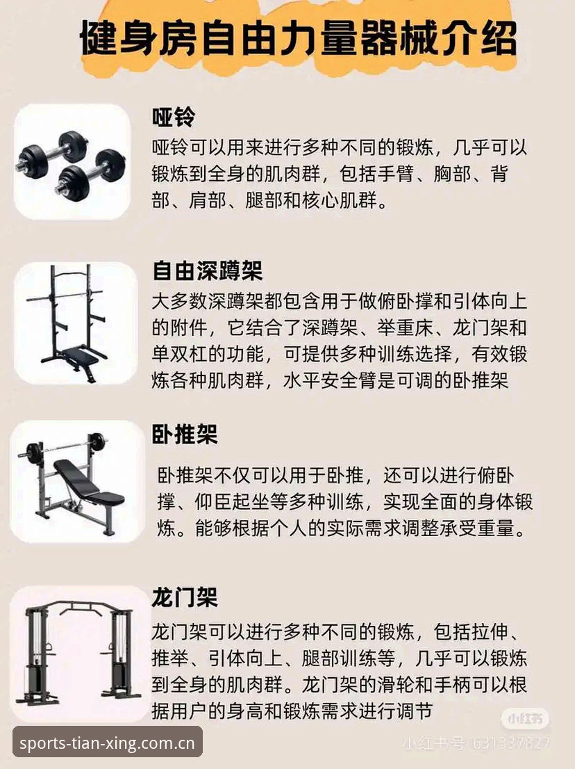 天行健身装备推荐攻略：从新手到进阶的完整选购指南